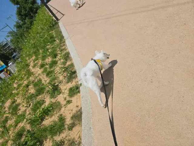 산책하기 좋은 곳, 강내근린공원