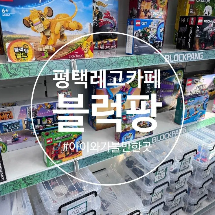 평택 용죽 키즈카페 레고 : 블럭팡 평택용죽점