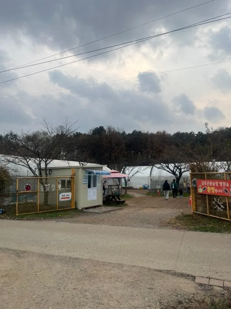 [둘째32주 임산부의 일기] 첫째와 주말 보내기 곤충체험 김포곤충농장 서울근교 아이와 가볼만한 곳 내돈내산