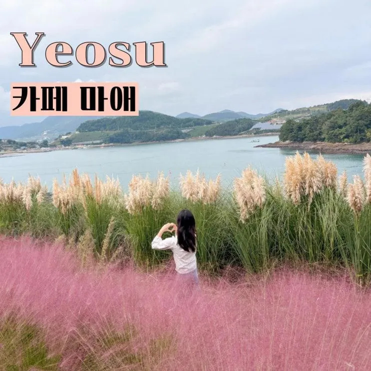 여수 데이트 코스  추천 오션뷰 핑크뮬리로 핫한 애견동반 카페 마애