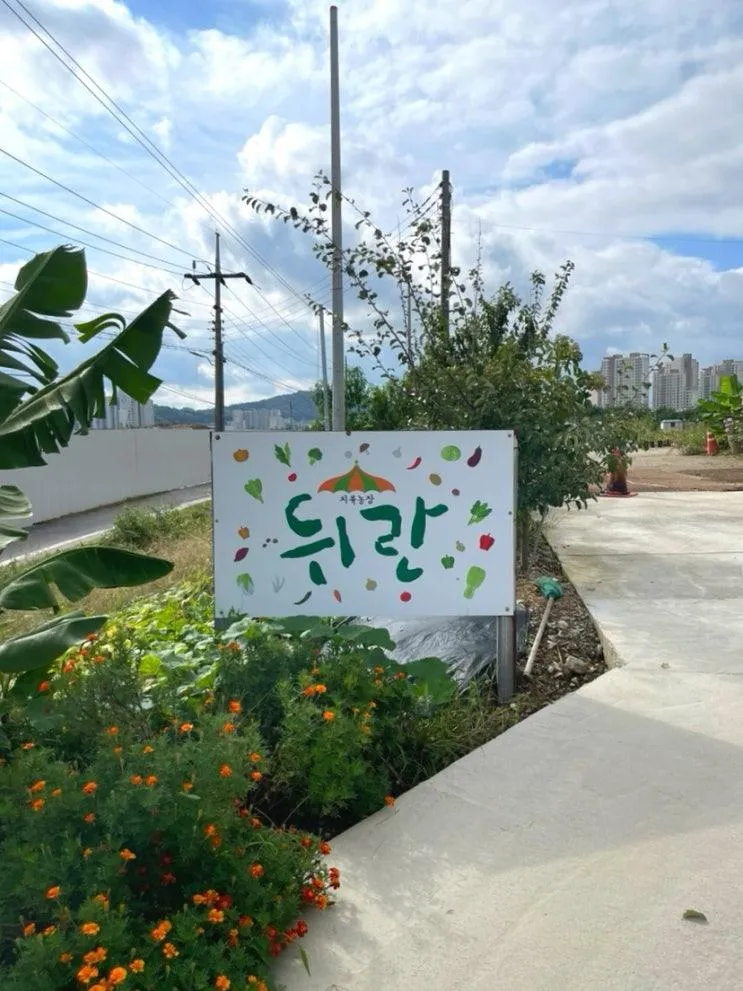 김포 농부 체험 치유농장 뒤란 | 5살·6살 아이와 밤 체험, 서울 근교 아이랑 갈만한 곳