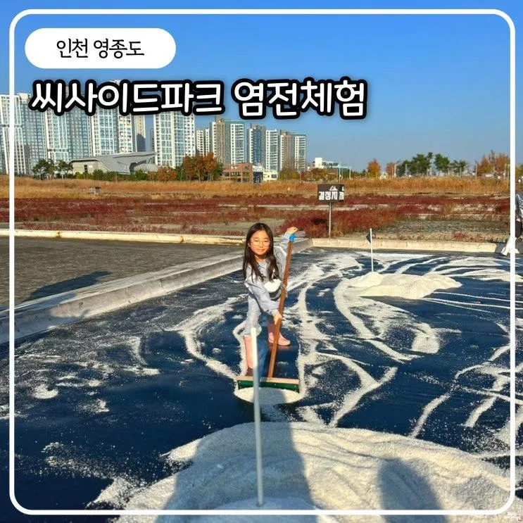 씨사이드파크 염전체험 예약 주차 리얼 후기