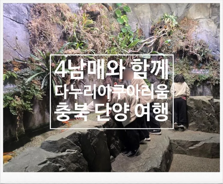 4남매와 다녀온 단양 다누리아쿠아리움｜생물 관리가 가장 좋았던 아쿠아리움