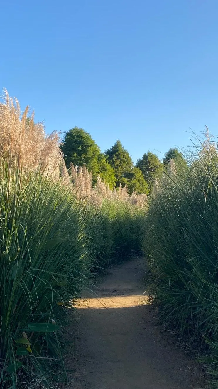 충남 태안 꼭 가봐야 할 곳, 청산 수목원 🌾