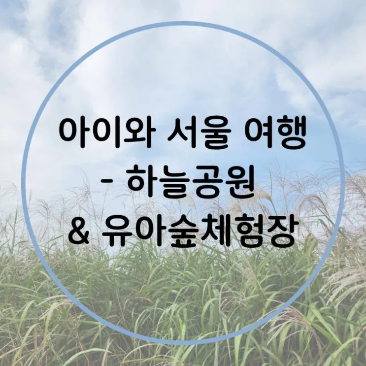 [일상] 아이와 서울 여행 - 하늘공원 & 월드컵공원 유아 숲 체험원