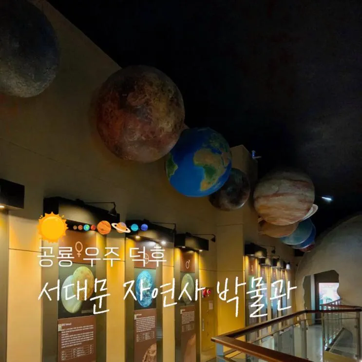 서울 공룡 우주 덕후 아이랑 실내 서대문자연사박물관 주차