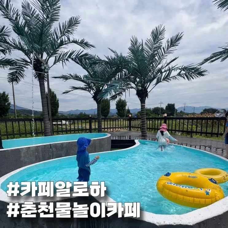 춘천 물놀이 가능한 카페 알로하 이용후기