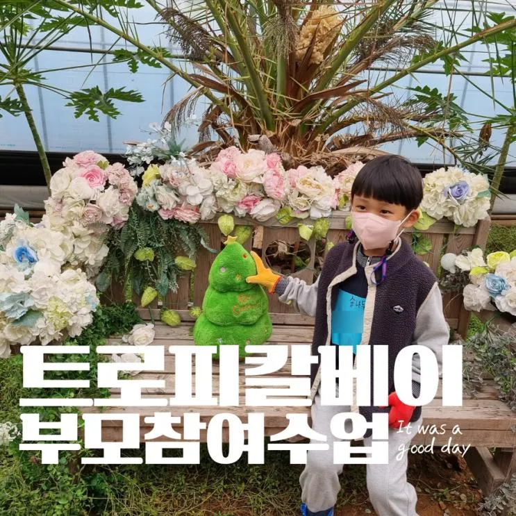 유치원 부모참여수업 트로피칼베이 파인애플따기 피자만들기 체험학습