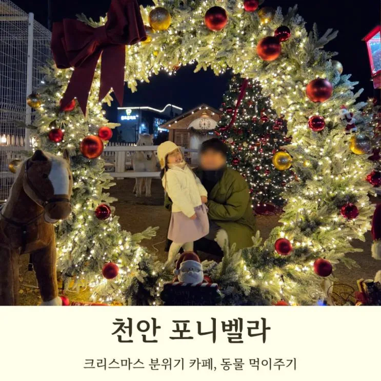 천안 크리스마스 카페 포니벨라 여러가지 동물들을 만나볼 수 있는 곳