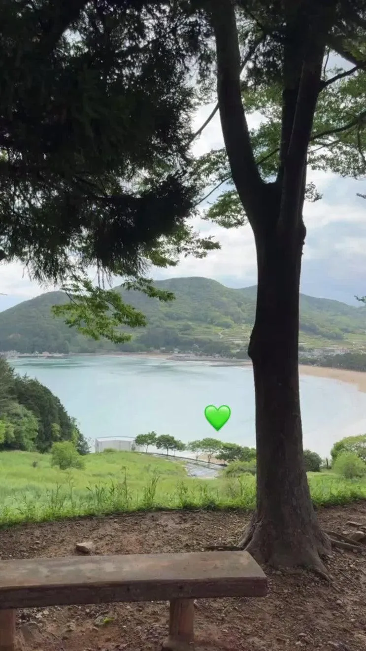 [남해 당일치기] 아이와 함께하는 힐링 코스! 맛집+놀거리 알차게 즐기기