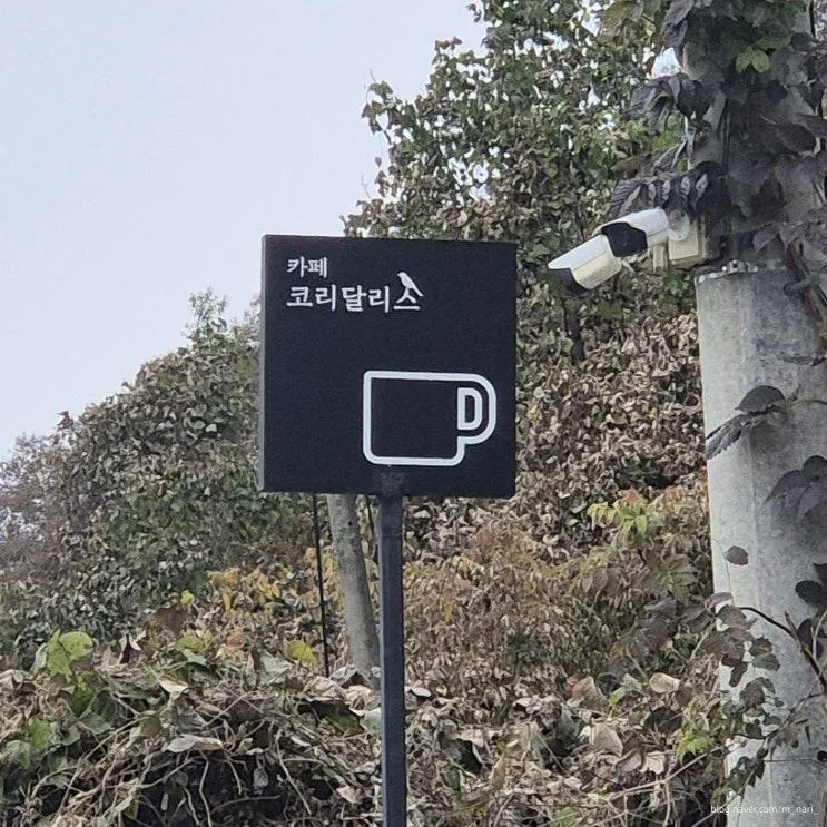 [가평 리버뷰 카페] 코리달리스