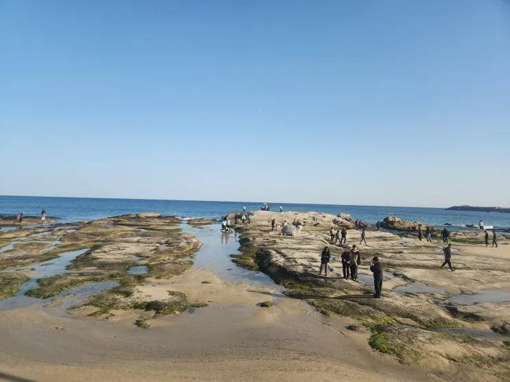 해파랑길 46코스 삼포해변~천학정~아야진해변~청간정~천진해변~장사항, 2025/11/29(토)