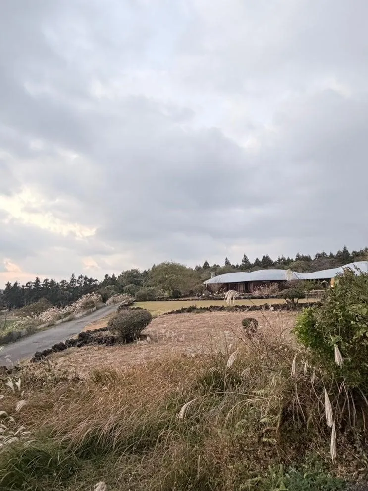 [제주 서쪽 태교여행 숙소] 🍇 임산부 포도호텔 한실 투어/미니바/온천