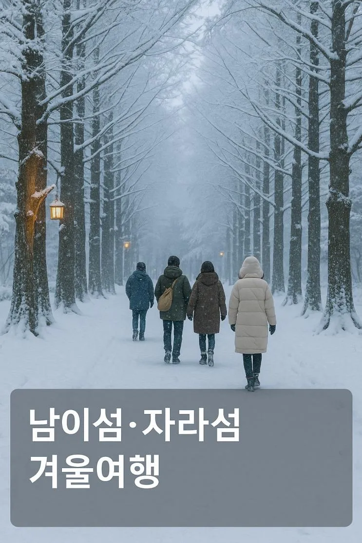 남이섬·자라섬 겨울여행, 눈 내린 강가 산책과 가평 카페까지 한 번에