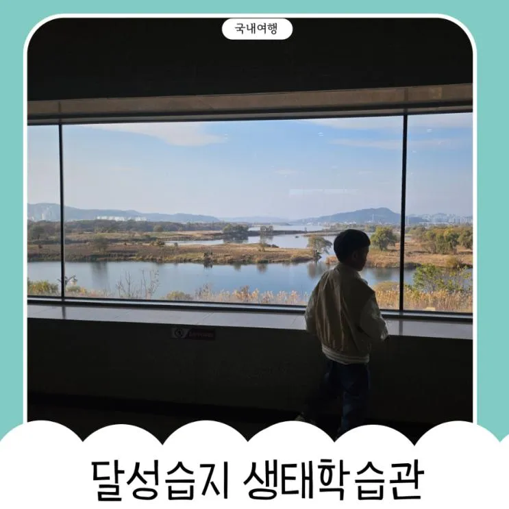 달성습지 생태학습관 주차장 갈대 대구 아이랑 가을에 가볼만한 곳