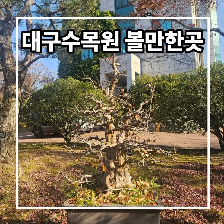 대구수목원 나들이 가볼만한 곳 정리