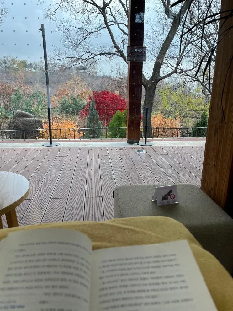 성북구 가볼만한곳 : 오동숲속도서관 통창뷰·주차·산책 코스 안내