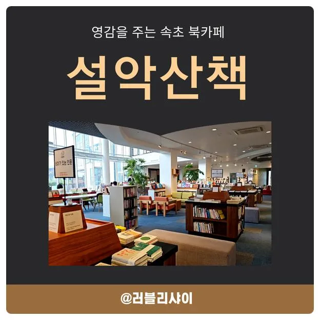영감을 주는 북카페 추천 <속초 설악산책> 도서관과 서점이 한 곳에