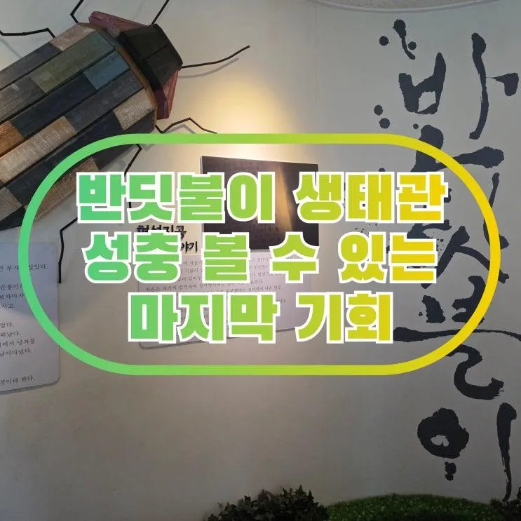서울 아이랑 가기 좋은 곳 무료 체험관 반딧불이 생태관 성충 관찰