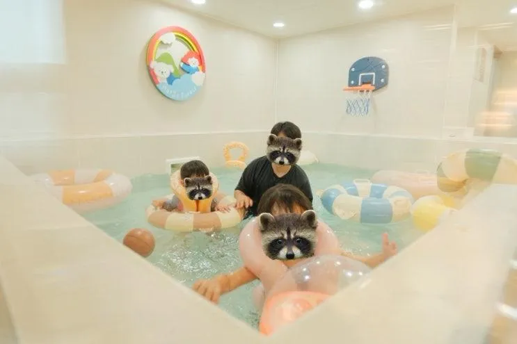 [내돈내산] 메리스포레스트 마포창전숲점, 프라이빗 키즈풀 오전 대관 후기👙🤿