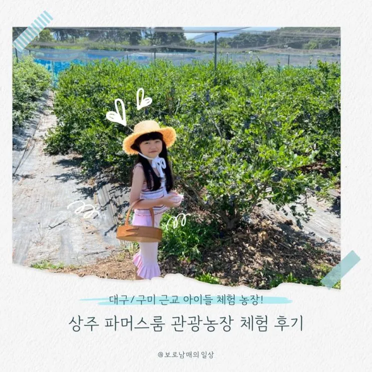 [상주 : 파머스룸] 블루베리 수확부터 동물 먹이주기까지! 아이와 즐기는 농장 체험의 모든 것