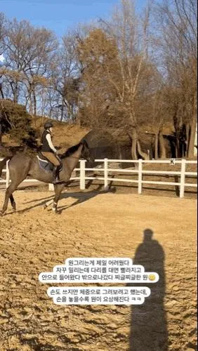 143. 팀피스테이블 기승 비용, 후기, 정말 오랜만에 건국승마장!