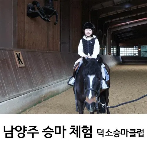 남양주 승마체험 서울근교 승마장 고퀄 덕소승마클럽
