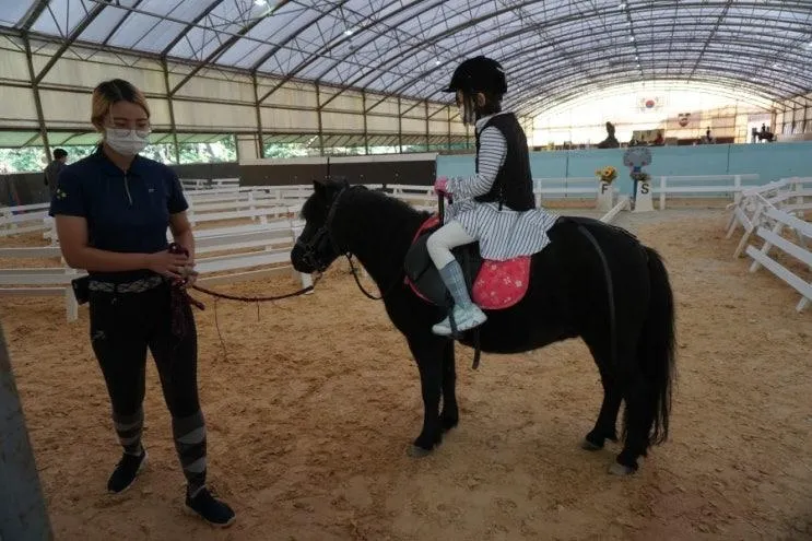 유아승마 체험 유아 말탈수있는 곳  w 용인 프리지언클럽