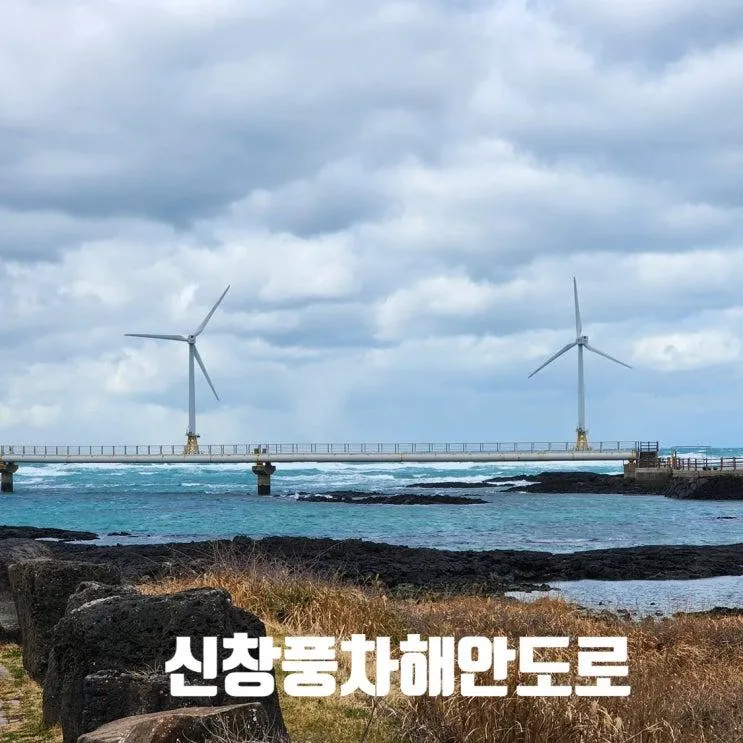 신창 풍차 해안 도로 오션뷰 라면집 풍차로 가는 길(내돈내산)
