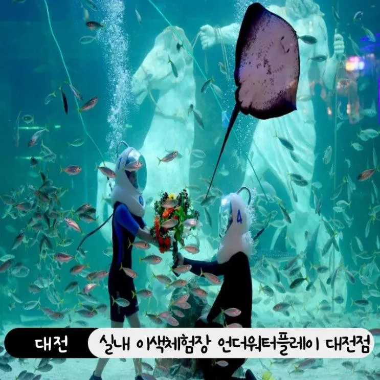 실내체험 추천! 언더워터플레이 대전점 위치, 예약, 요금 정보
