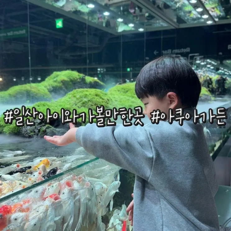 일산 아이와 가볼만한 곳 아쿠아가든 일산점 수족관 카페
