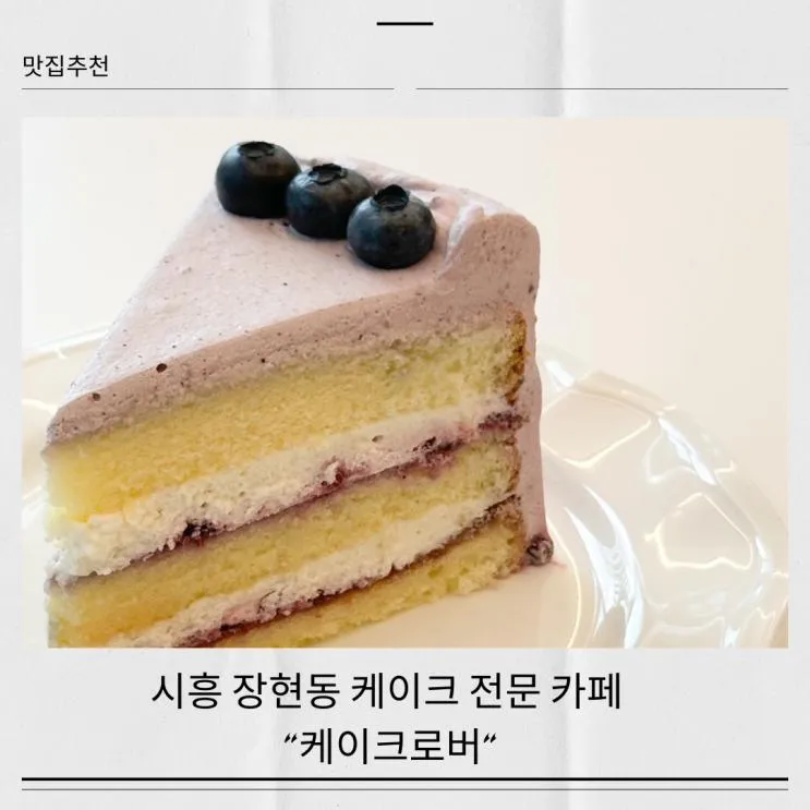장현동 시흥시청 근처 카페 직접 케이크 만드는 '케이크로버... 