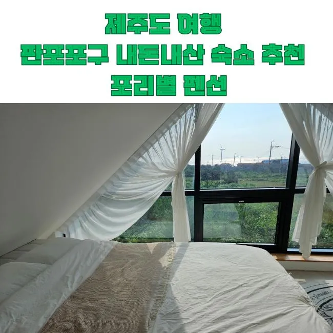 제주도 4인가족 판포포구 숙소 추천 포리별 펜션 내돈내산... 