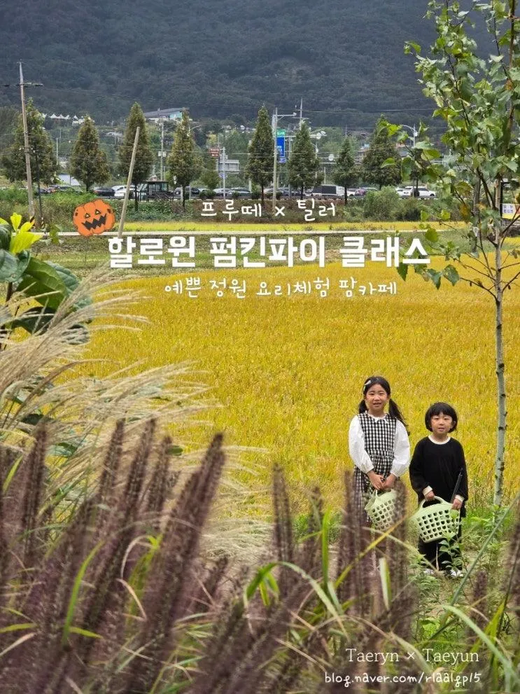 강화도 아이와가볼만한곳  [프루떼] 틸러 펌킨타르트... 