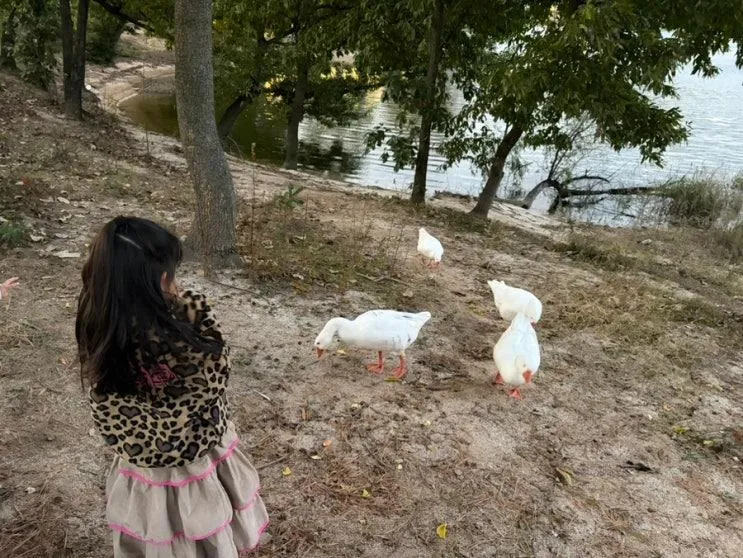대전 대청호 아이랑 갈만한 곳 대청호자연생태관 대청호오백리... 