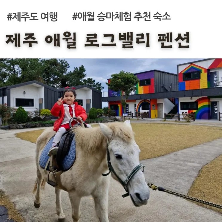 제주 애월 로그밸리 펜션, 매일 아침 승마 체험 (제주도 아이랑... 