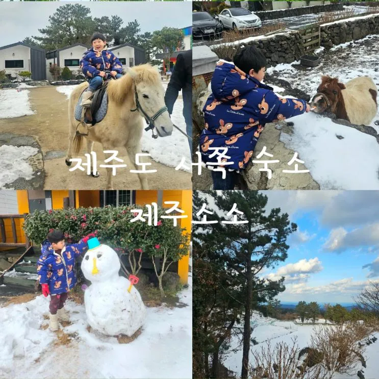 제주 서쪽 가족숙소 승마 체험하는 제주소소 로그밸리 펜션