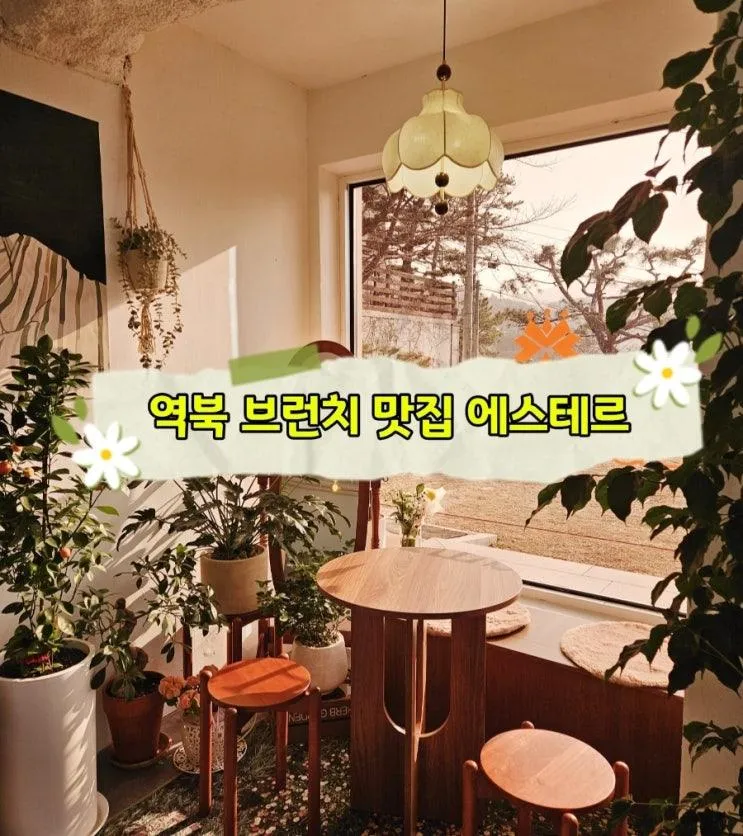용인 역북 브런치 카페 맛집 에스테르