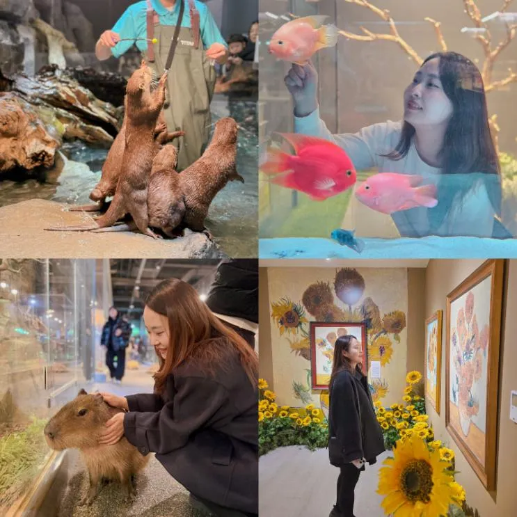 놀거리 신비동물원 흑백요리사 천상현 천상 가평멋집까지