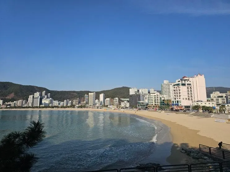부산 송정 가볼만한곳 송정해수욕장 죽도공원
