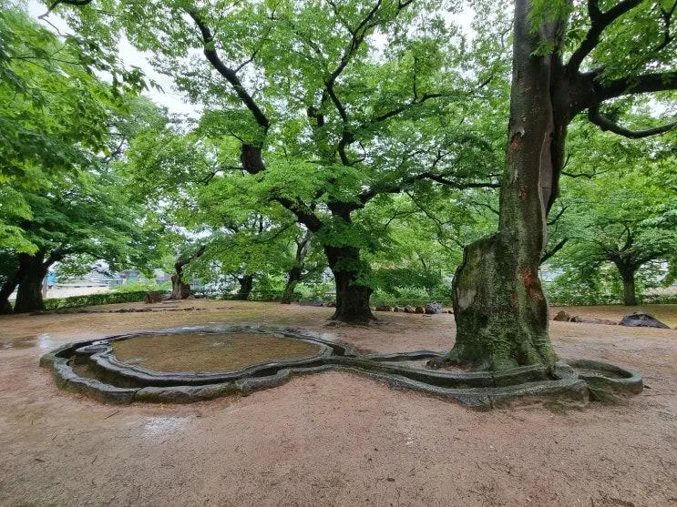 경주 포석정지 방문자센터(매표소,영상관,포석정 실물... 
