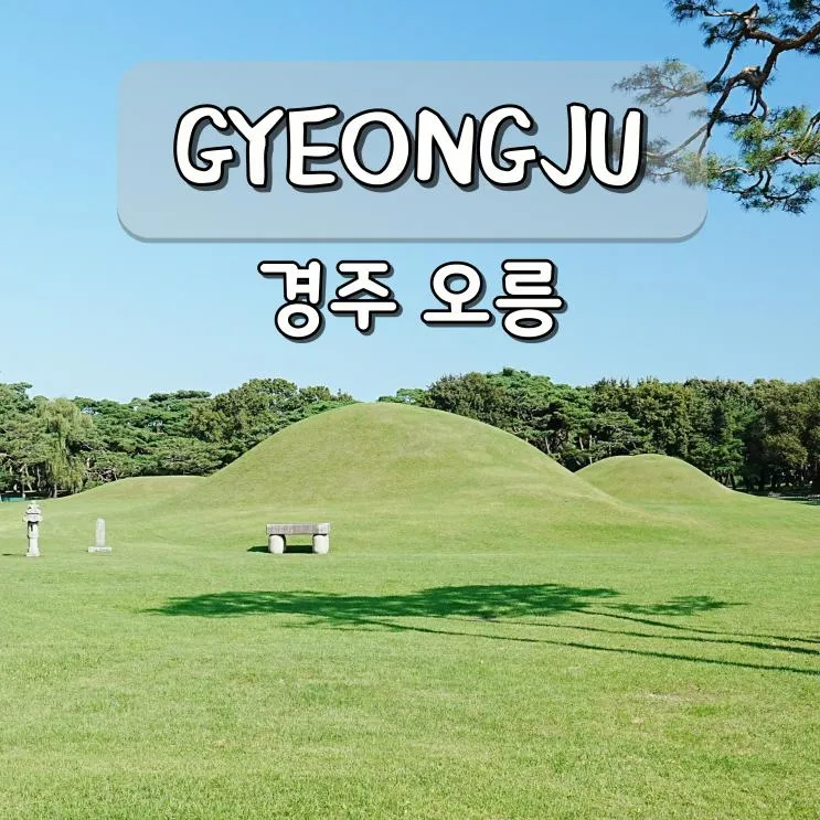 경주 오릉 입장료 경북 유적지 산책 가족 여행 가볼만한곳