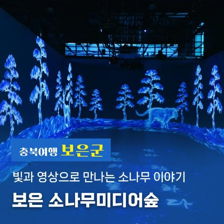 빛과 영상으로 만나는 소나무 이야기, 보은 소나무미디어숲