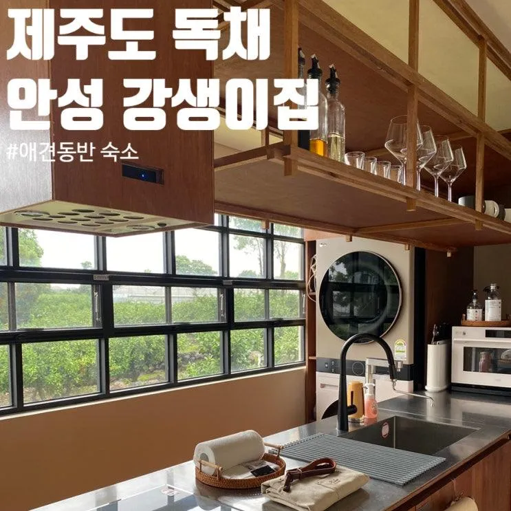 제주도 안성 강생이집 강아지를 위한 애견동반 독채 숙소 추천