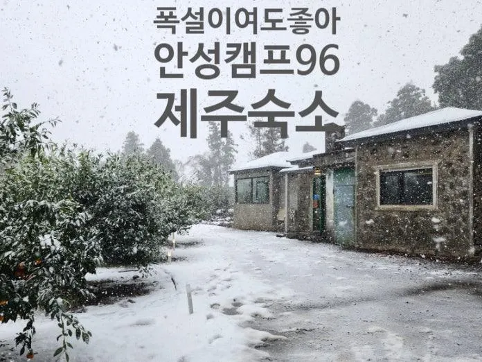 제주 감성 숙소 추천 | 폭설 속에서도 좋았던 귤밭 독채 안성캠프96