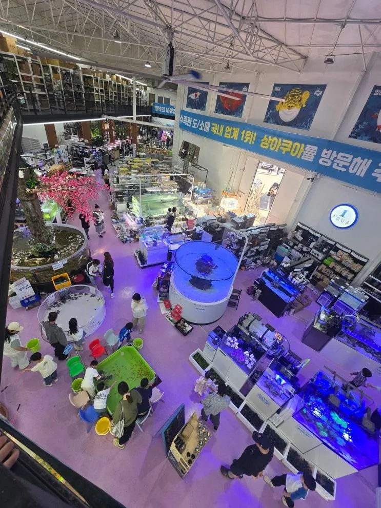 김포 상아쿠아 국내 최대 규모 수족관 열대어, 유목 수초... 