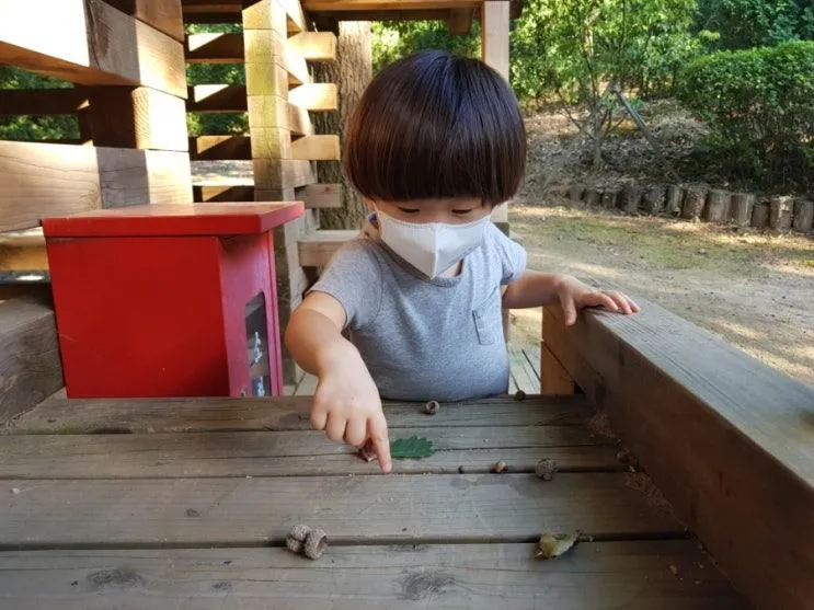 농서유아숲체험원