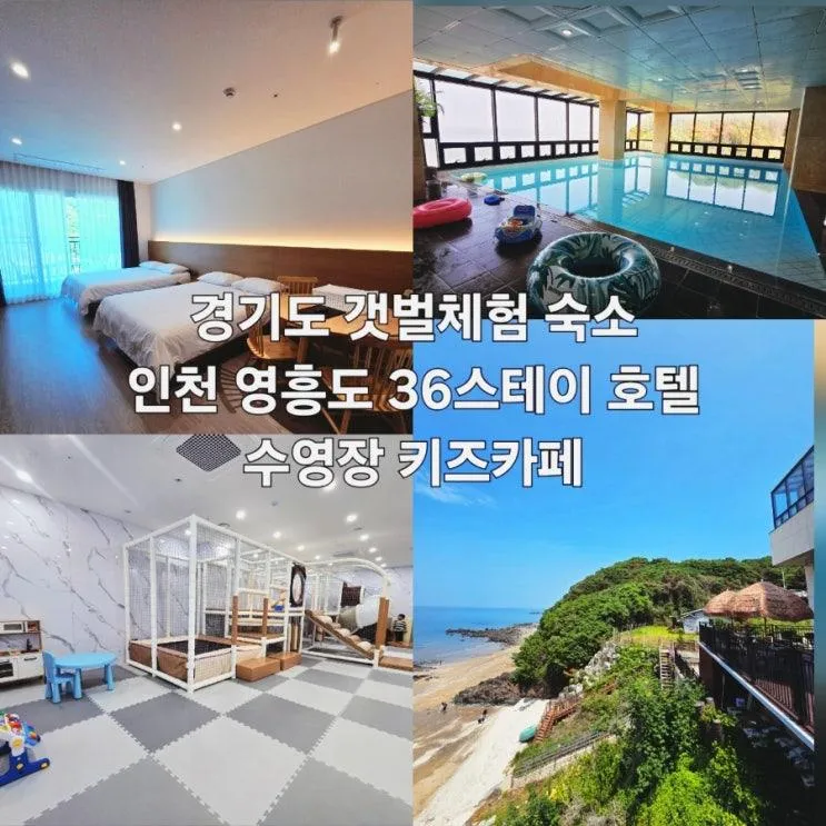 인천 영흥도 36스테이 호텔 펜션 경기도 갯벌체험 수영장... 