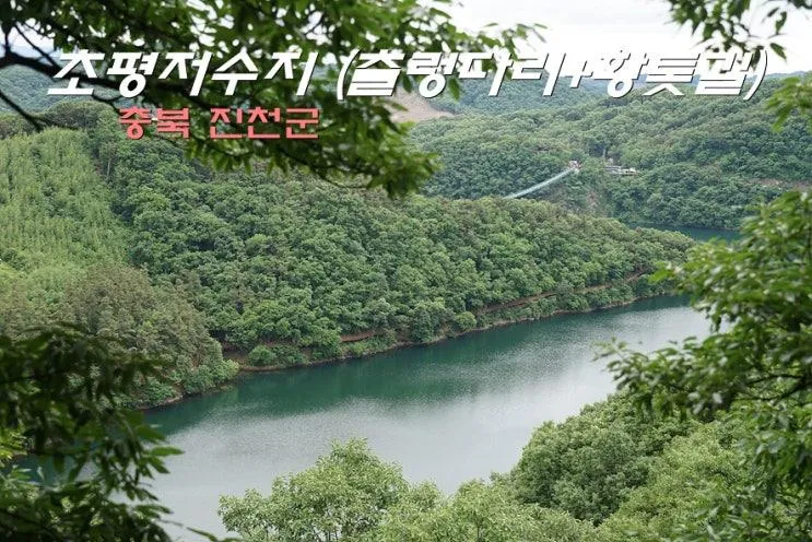 초평저수지 둘레길 트레킹 (농다리 초평호 미르309 출렁다리)