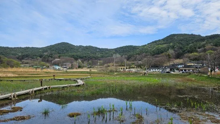 상당산성 자연마당과 진천 농다리 & 초평호 미르309 출렁다리